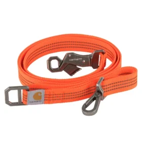 Laisse pour chien