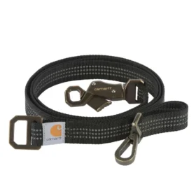 Laisse pour chien