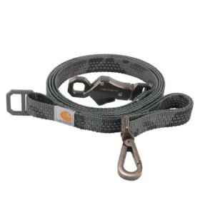 Laisse pour chien