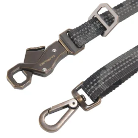 Laisse pour chien