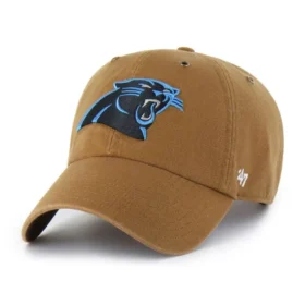 Panthers de la Caroline « 47 Clean Up »
