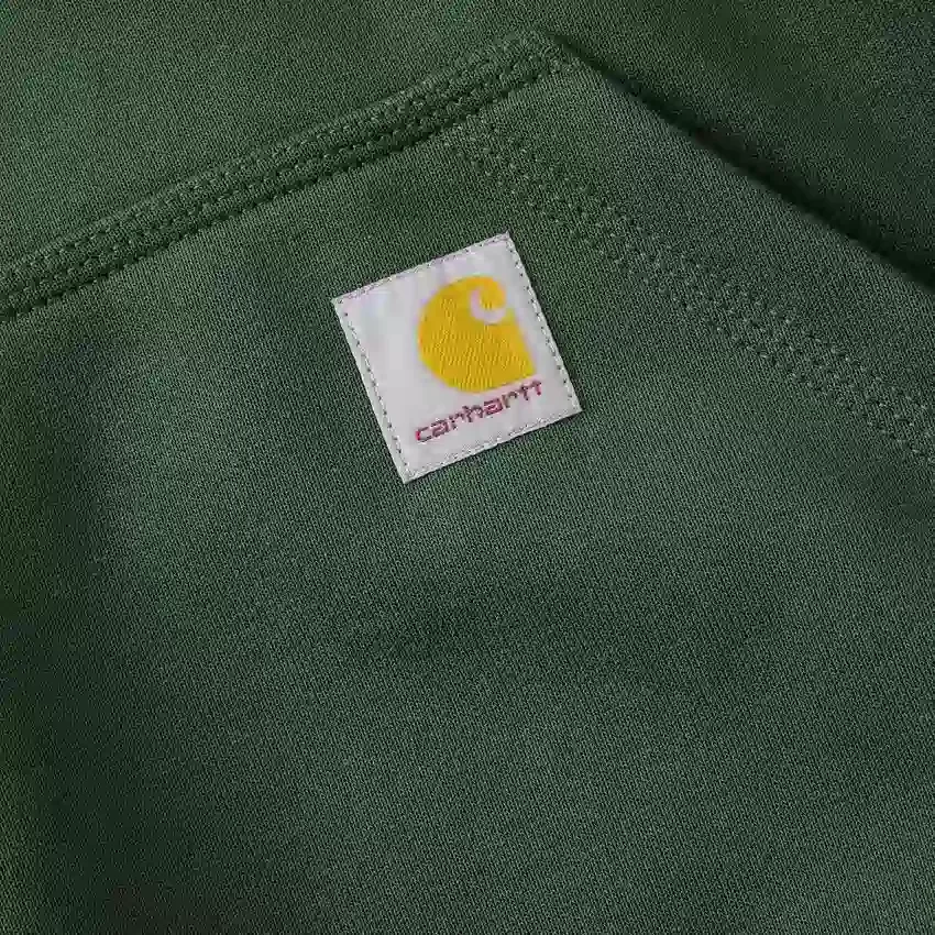 Sweat à capuche épais hydrofuge Paxton pour homme - Sweats à capuche carhartt Rain Defender