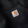 Sweat à capuche épais hydrofuge Paxton pour homme - Sweats à capuche carhartt Rain Defender