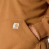 Sweat à capuche Paxton pour homme, épais et déperlant, avec fermeture éclair 1/4 - Sweats à capuche carhartt Rain Defender