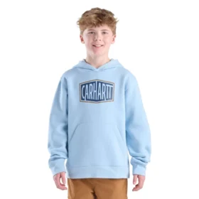 Sweat-shirt à manchons longs et imprimé pour garçon ( tout-petits / enfants / ados)