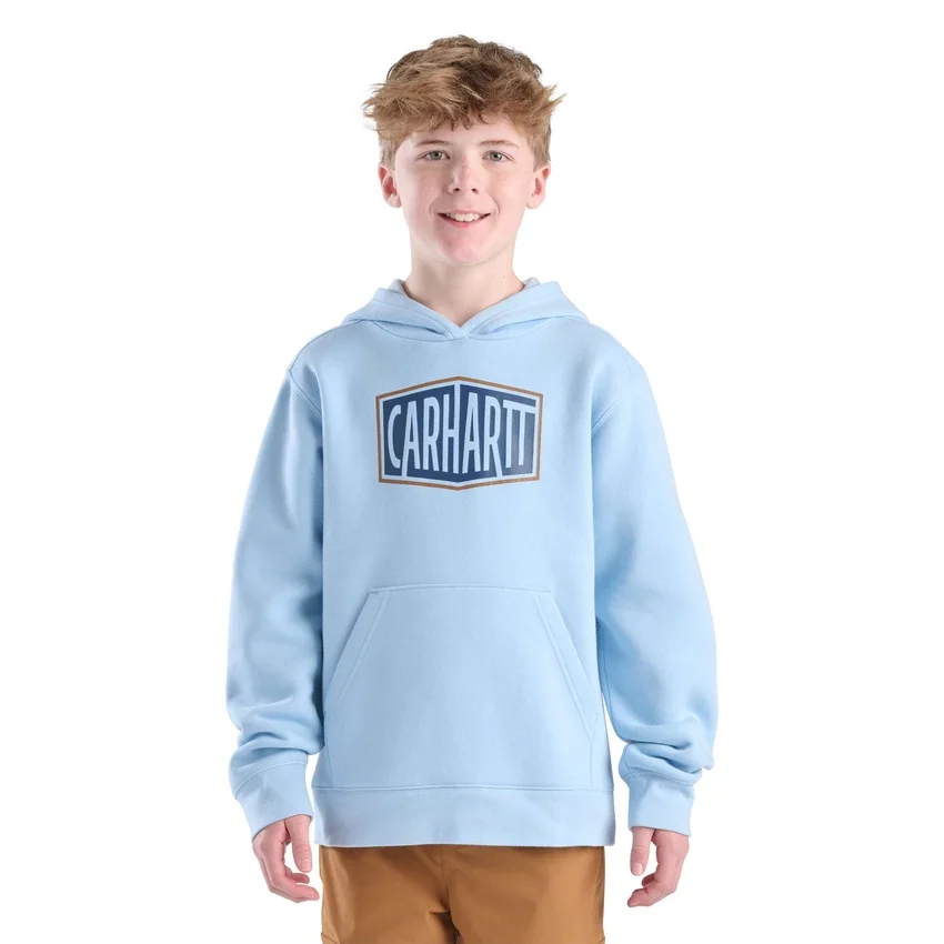 Sweat-shirt à manchons longs et imprimé pour garçon ( tout-petits / enfants / ados)