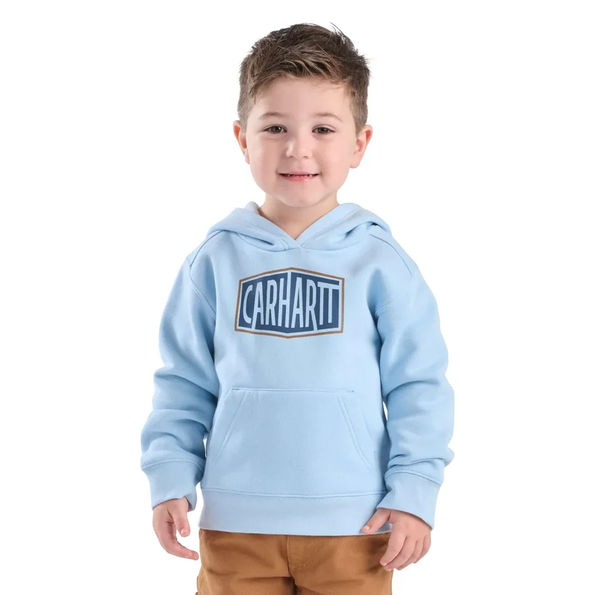 Sweat-shirt à manchons longs et imprimé pour garçon ( tout-petits / enfants / ados)