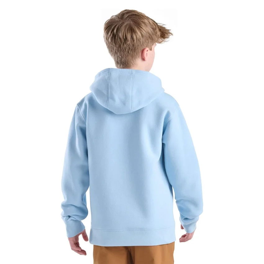 Sweat-shirt à manchons longs et imprimé pour garçon ( tout-petits / enfants / ados)