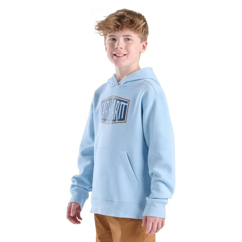 Sweat-shirt à manchons longs et imprimé pour garçon ( tout-petits / enfants / ados)